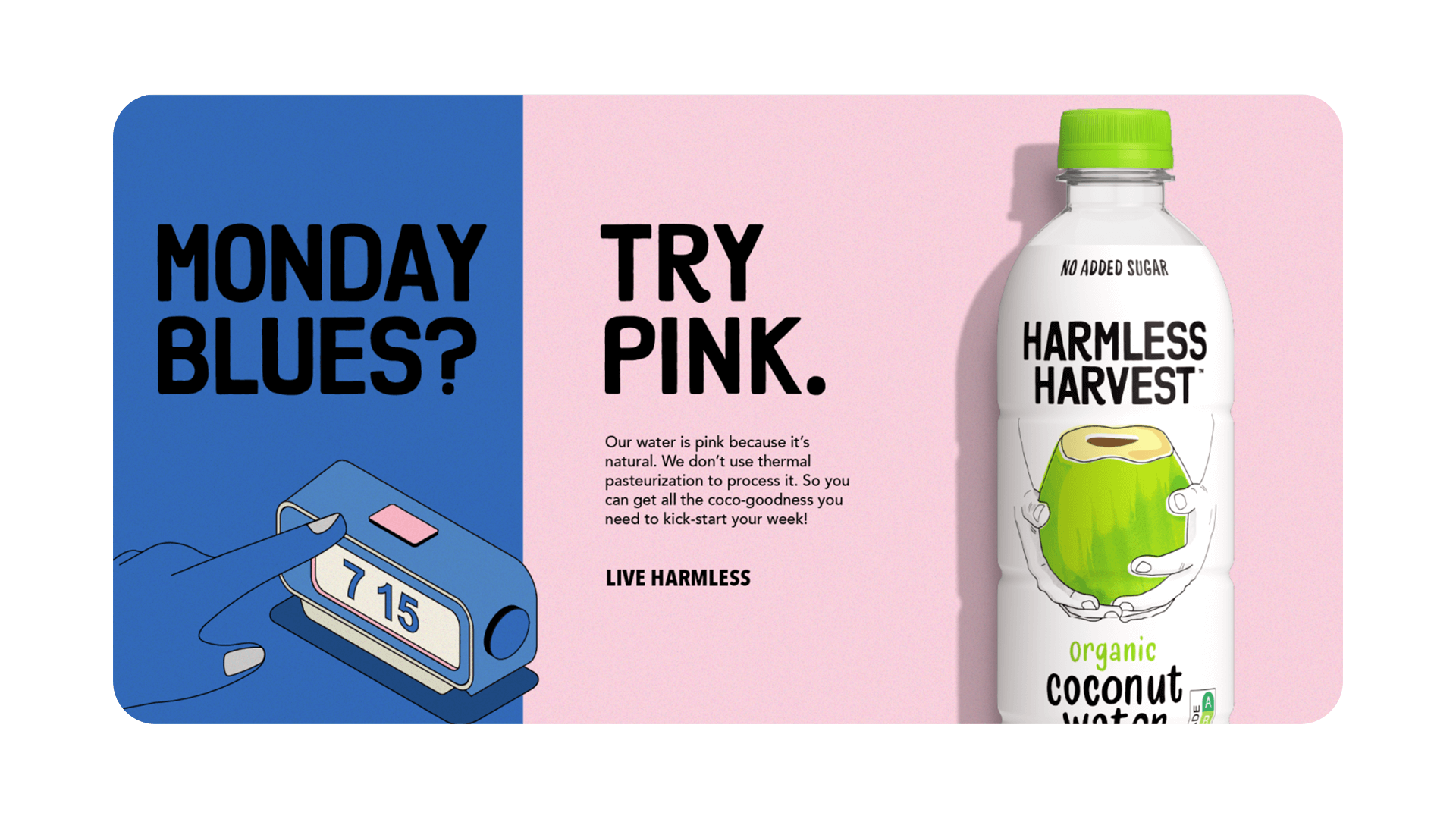 Harmless Harvest — The Launch: image 3